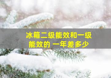 冰箱二级能效和一级能效的 一年差多少